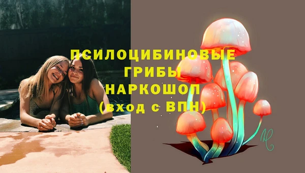 не бодяженный Абаза
