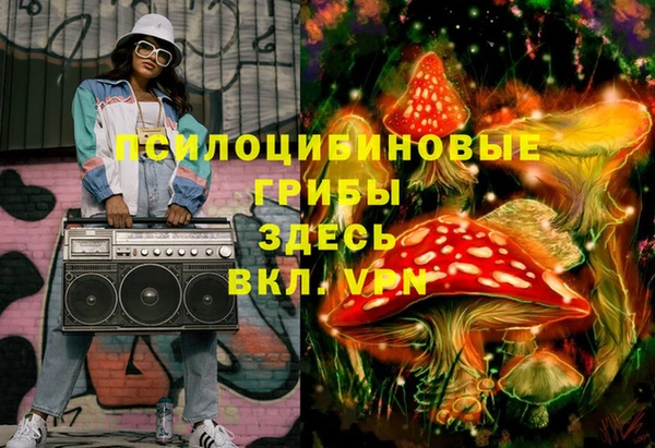 не бодяженный Абаза