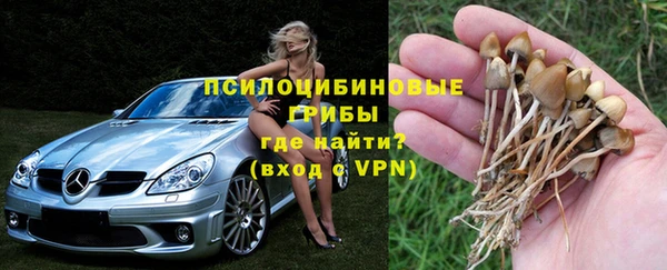винт Абинск